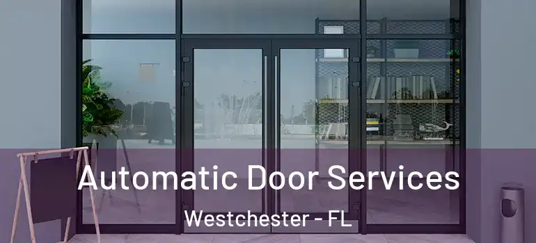  Automatic Door Services Westchester - FL