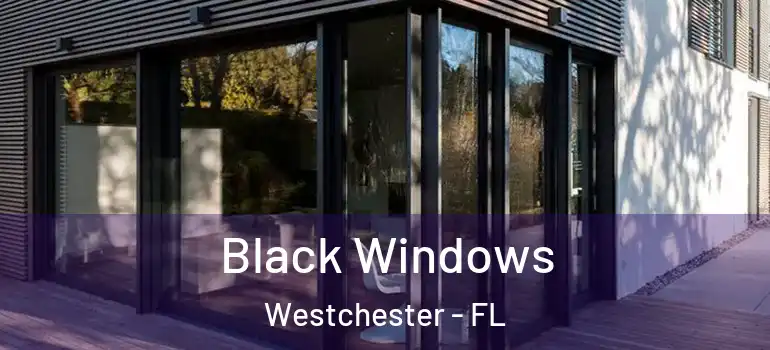  Black Windows Westchester - FL