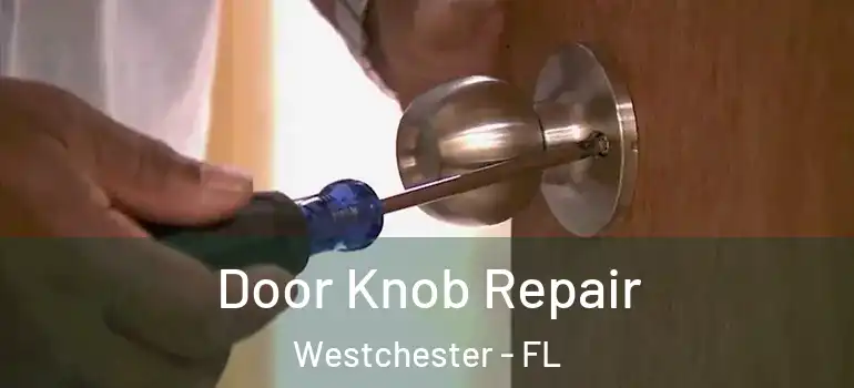  Door Knob Repair Westchester - FL