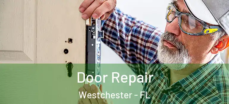  Door Repair Westchester - FL