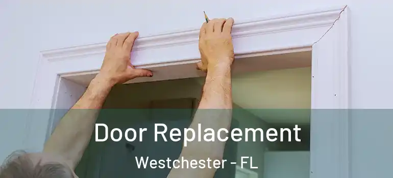  Door Replacement Westchester - FL