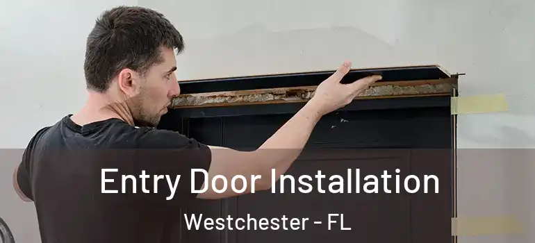  Entry Door Installation Westchester - FL
