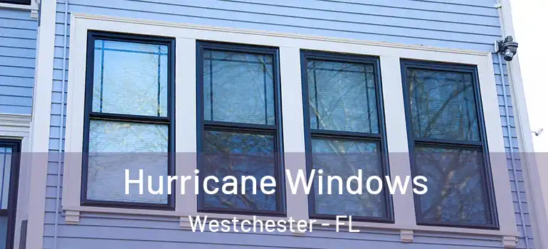  Hurricane Windows Westchester - FL