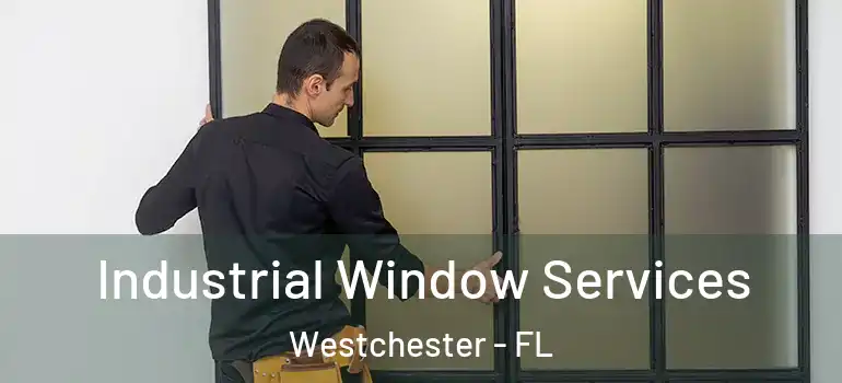  Industrial Window Services Westchester - FL