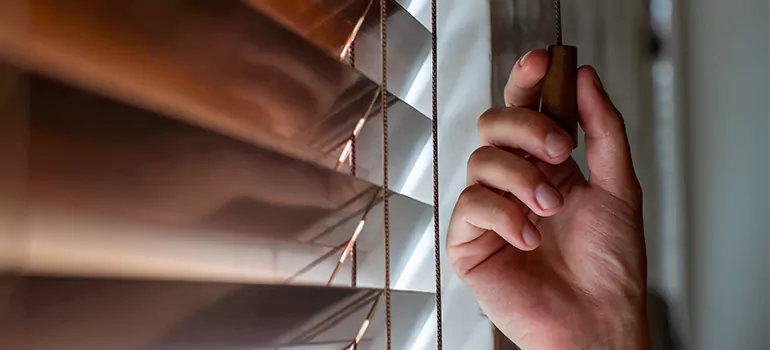 Double Roller Blinds in Westchester, FL