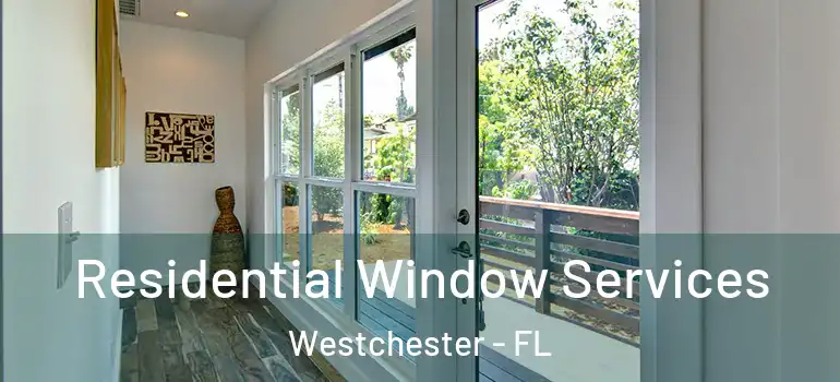  Residential Window Services Westchester - FL