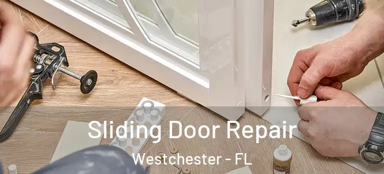  Sliding Door Repair Westchester - FL