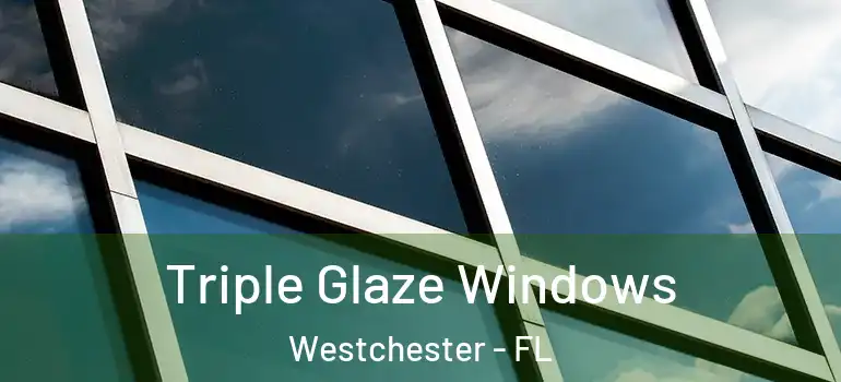 Triple Glaze Windows Westchester - FL