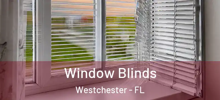 Window Blinds Westchester - FL