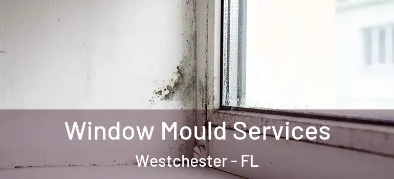  Window Mould Services Westchester - FL