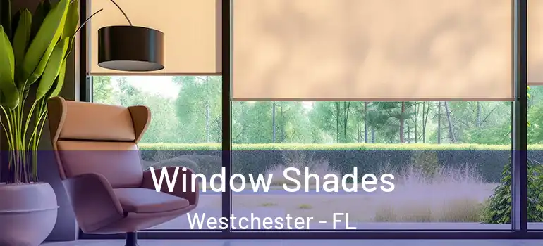  Window Shades Westchester - FL