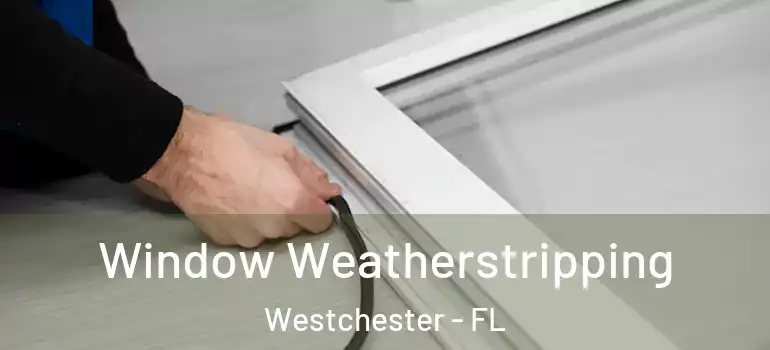  Window Weatherstripping Westchester - FL